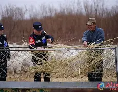 天津飞船击败内蒙古猎手队,取得胜利了吗